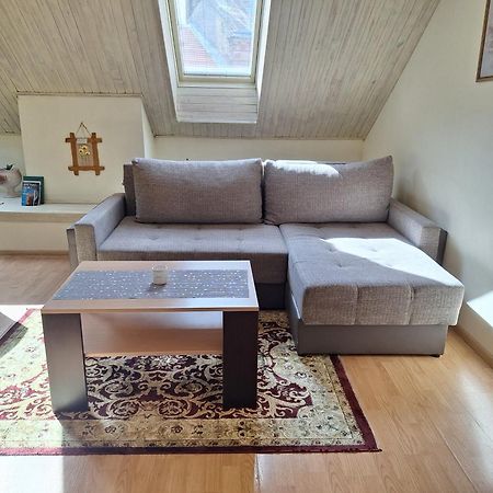 Vidos Apartamentai VNO Kültér fotó